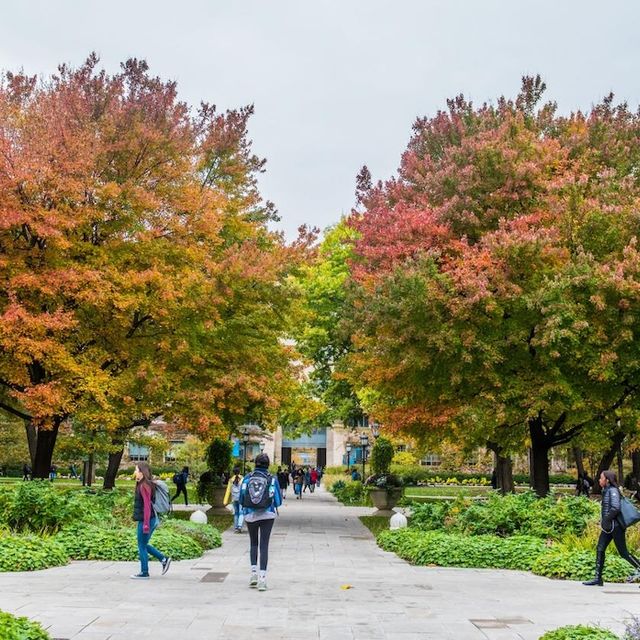 Fall Campus